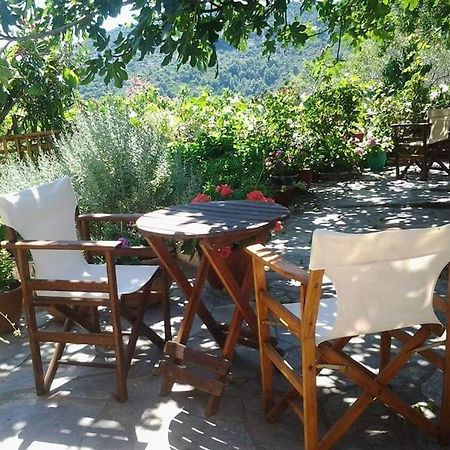 Villa Panayiota Alonnisos Town Ngoại thất bức ảnh