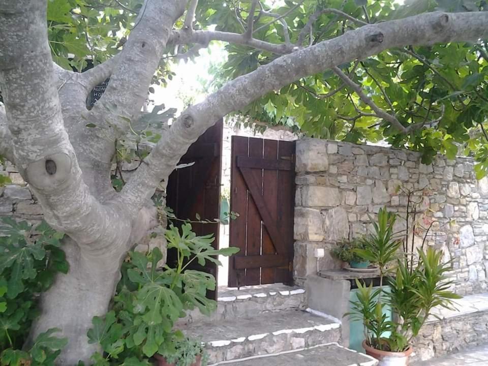 Villa Panayiota Alonnisos Town Ngoại thất bức ảnh