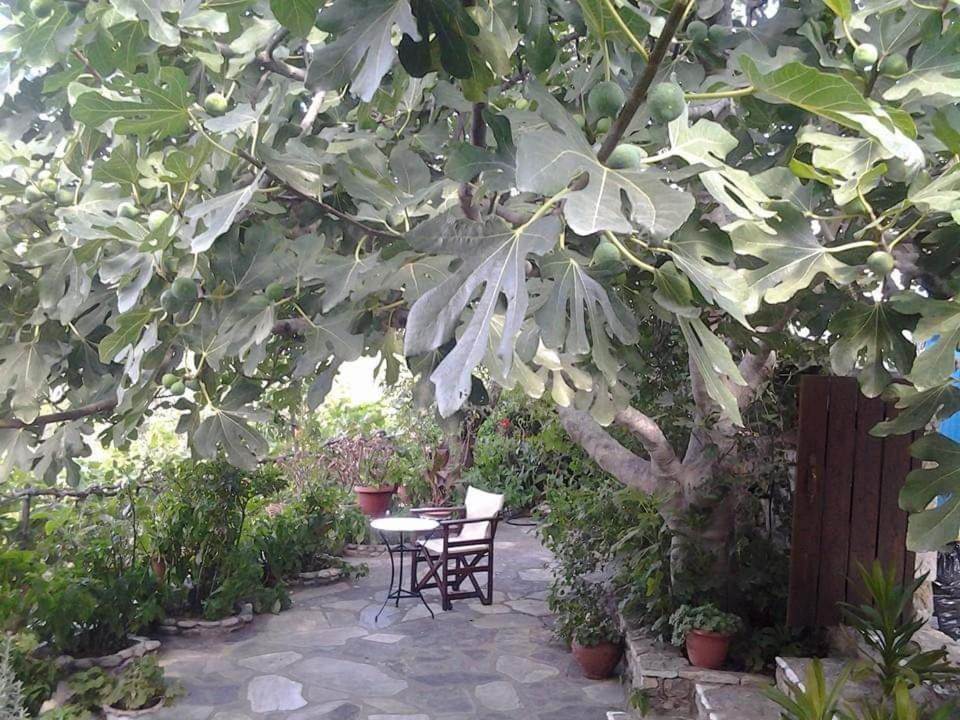 Villa Panayiota Alonnisos Town Ngoại thất bức ảnh